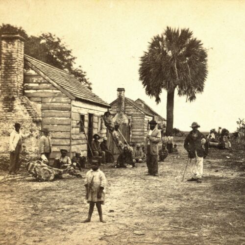 African American freedmen outside the Flipp Plantation_ S.C. _ 1865