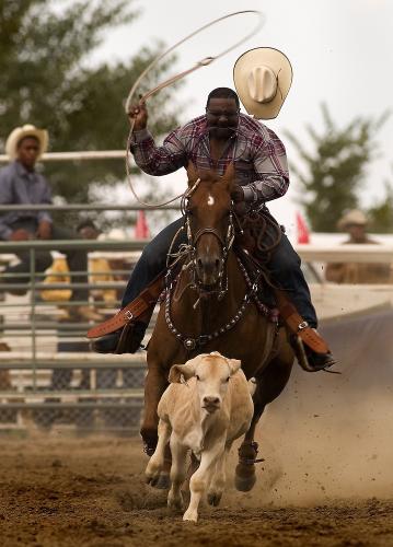 Black cowboy roping steer