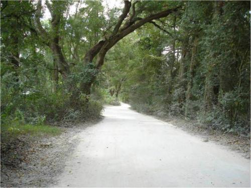 Boisey Long escaped on a back road and hid near a sink hole. Notice the phosphate covering the road. This industry drew blacks and whites to the area.