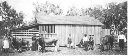 Education-The-start-of-what-became-Bethune-Cookman-College.-Mary-McLeod-Bethune-is-second-from-left.-Florida