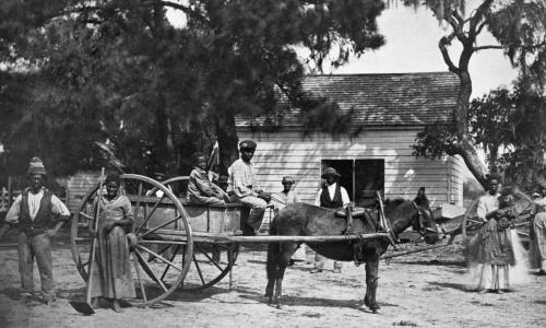 Slaves with mule_ wagon and tools
