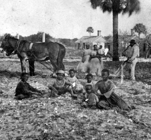 The descendants of slaves on the Kingsley Plantation near Jacksonville  Florida