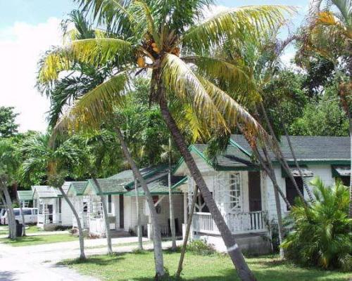 black miami cabins in lemon city 