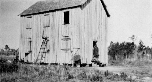education Negro school Fiftone   Florida 