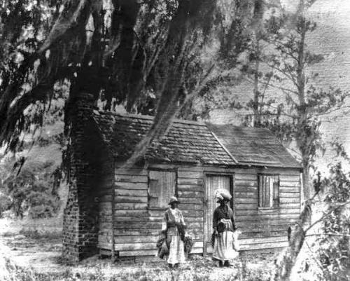 education bethune 1 birth place
