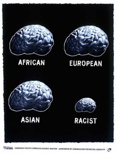 racist humor racist-brain-ad